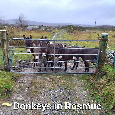 Connemara View * Camus Eighter