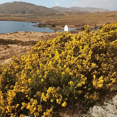 Guest house Connemara View Camus Eighter